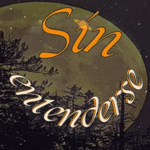 Sin Entenderse